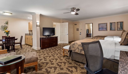 Standard Studio, 1 King Bed, Accessible, Bathtub (with Sofabed)