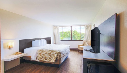 Room, 1 King Bed, Accessible, Non Smoking