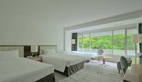 Room, 2 Twin Beds, 2 rollaway