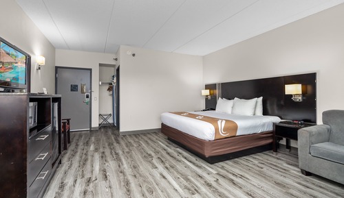 Standard Room, 1 King Bed, Non Smoking