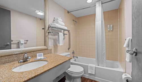 Suite, 1 King Bed with Sofa bed, Non Smoking