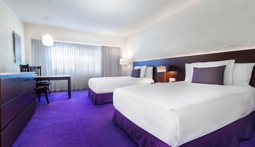 Deluxe Superior Two Beds