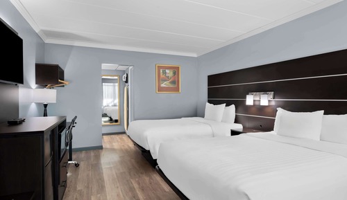 Standard Room, 2 Double Beds, Non Smoking, Refrigerator & Microwave (Pet Friendly)