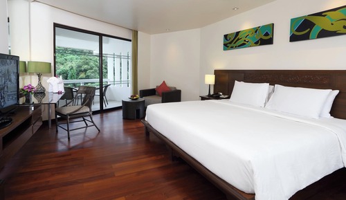 Room, 1 King Bed