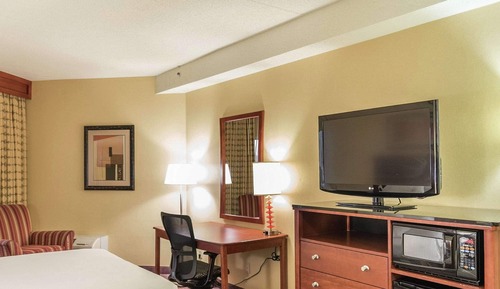 Room, 1 King Bed with Sofa bed, Non Smoking (Direct Pool Access)