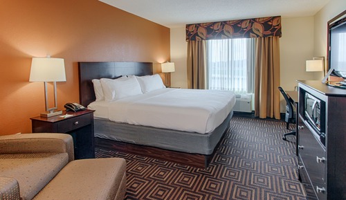 Standard Room, 1 King Bed with Sofa bed