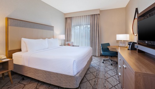 Standard Room, 1 King Bed, Accessible (Communications)