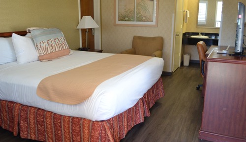 Room, 1 King Bed