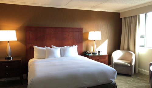 Suite, 1 King Bed