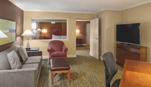 Suite, 1 King Bed, Accessible (Roll-In Shower)