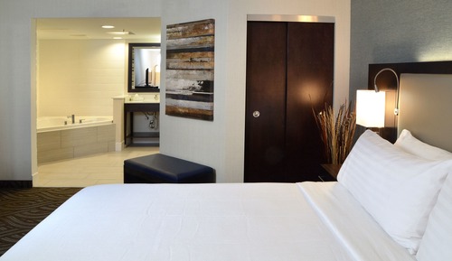 Standard Room, 1 King Bed, Accessible (Mobility, Roll-In Shower)