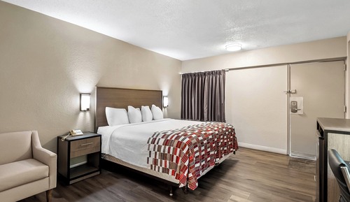 Standard Room, 1 King Bed, Accessible, Non Smoking (Roll-In Shower)