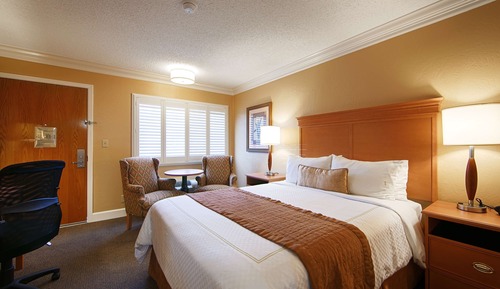 Standard Room, 1 Queen Bed, Non Smoking