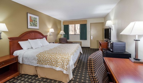 Studio Suite, 1 King Bed, Smoking