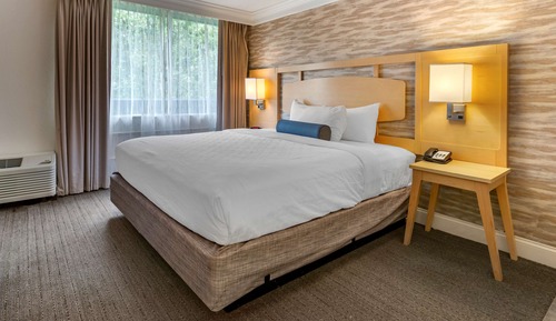Suite, 1 King Bed, Non Smoking, Jetted Tub