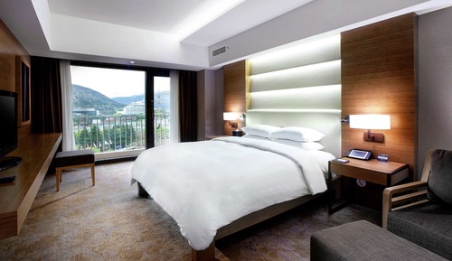 Executive Suite, 1 King Bed