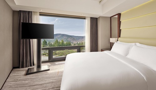 Deluxe Suite, 1 King Bed (Residential)