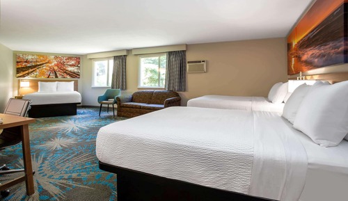 3 Queen Beds, Studio Suite, Non-Smoking