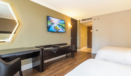Executive Room, 2 Double Beds