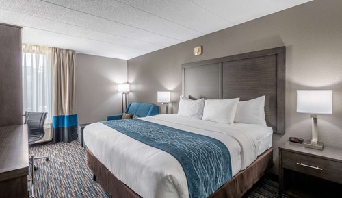 Standard Room, 1 King Bed, Non Smoking