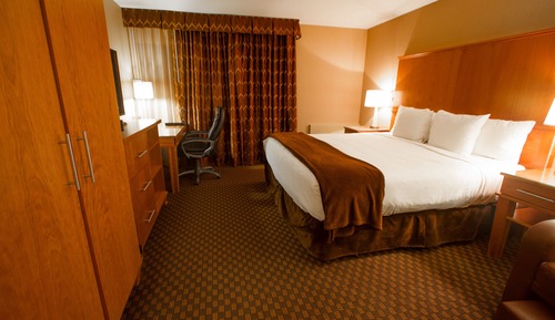 B1 Executive Room, 1 King Bed