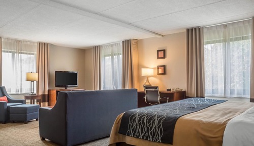 Suite, 1 King Bed with Sofa bed, Accessible, Non Smoking (Upgrade)