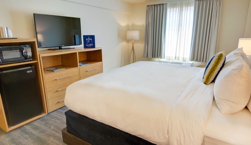 1 King Bed ( Pet Friendly ) No Balcony