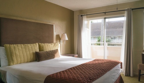 Standard Suite, 1 Bedroom, Kitchen (1 King Bed w/ Sofa Bed)