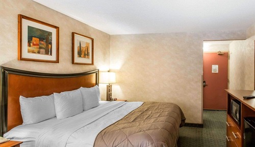 Standard Room, Poolside, 1 King Bed, Non-Smoking