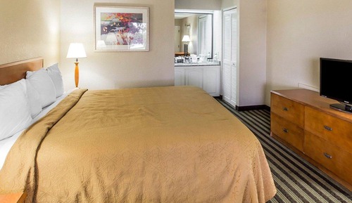 Standard Room, 1 King Bed, Non Smoking