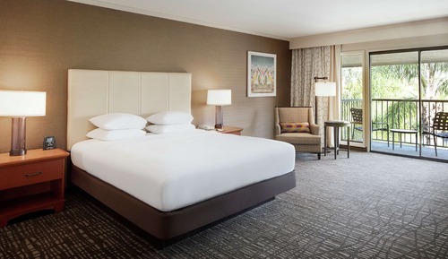 Room, 1 King Bed