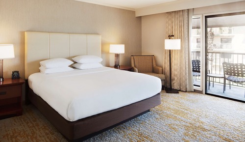 Suite, 1 King Bed