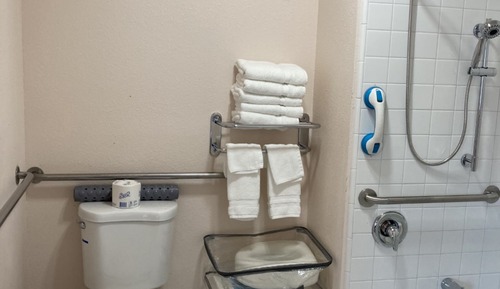 Standard Room, 1 King Bed, Accessible Bathtub