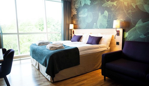 Superior Room, Multiple Beds