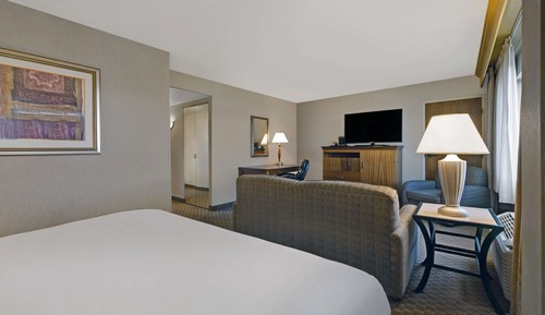 Room, 1 King Bed, Non Smoking