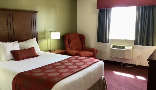 Room, 1 King Bed, Non Smoking