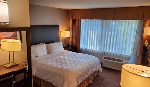 Basic Room, 1 King Bed