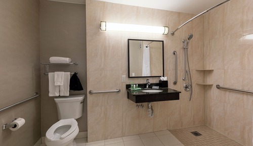 Traditional Room, 1 King Bed, Roll-in Shower
