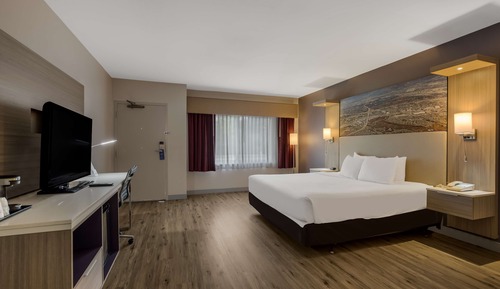 Standard Room, 1 King Bed, Accessible, Non Smoking (Walk-in Shower)
