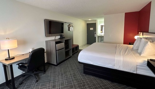 Room, 1 King Bed, Non Smoking