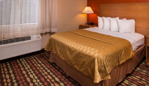 Suite, Multiple Beds, Non Smoking, Kitchen (with Sofabed)