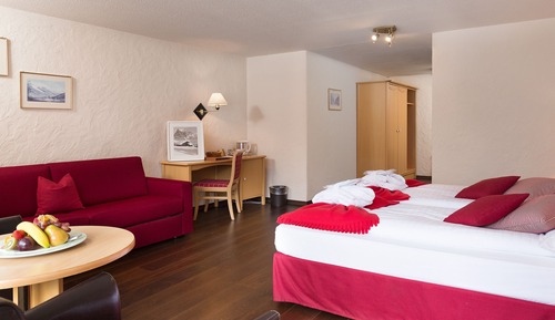 Double Room with Eiger View