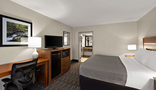 Room, 1 King Bed, Accessible, Non Smoking
