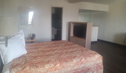 Standard Studio Suite