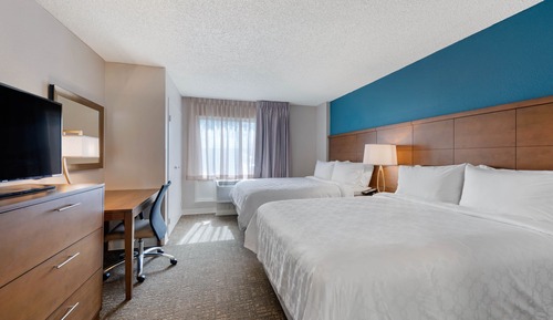 Suite, 1 Bedroom, Kitchen