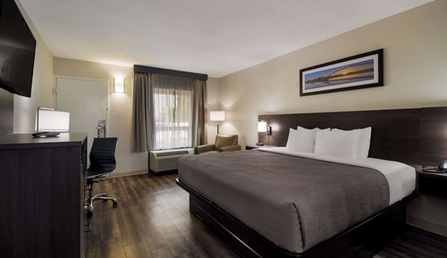 Room, 1 King Bed, Smoking