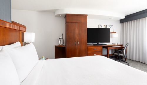 Room, 1 King Bed with Sofa bed, Non Smoking (Mobility/Hearing Accessible, Tub)