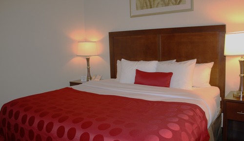 Studio Suite, 1 King Bed, Non Smoking