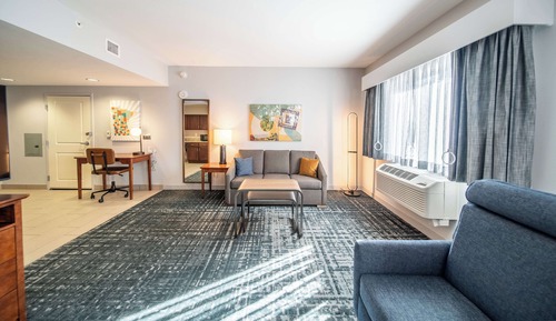 Studio, 1 King Bed, Accessible, Non Smoking (Roll-in Shower)
