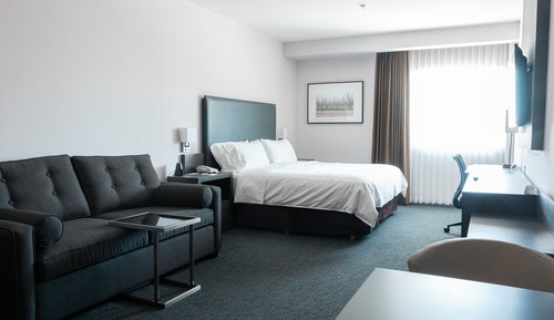 Suite, 1 King Bed